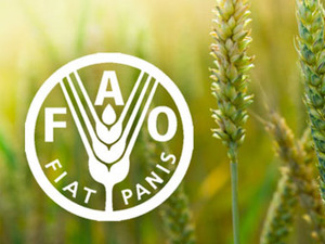 FAO