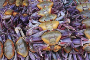 La receta tradicional es la den cangrejo criollo