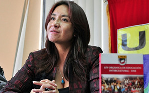 Mariana Pallasco fue una de las delegadas en la CIDH