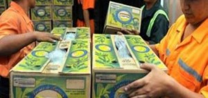 El banano ecuatoriano se exportará otra vez a Brasil