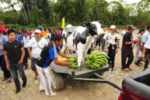 movilizacion-indigena