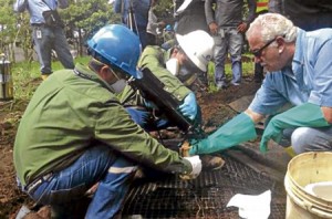 galo-chiriboga-sacha-pericia