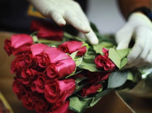rosas