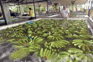 comision-europea-ley-acuerdo-comercial