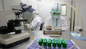 ebola