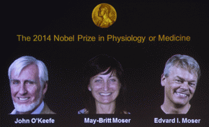 premio-nobel-medicina