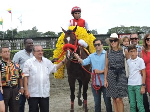 Mimo-horse-caballo-ecuatoriano-ecuadorian-alvaro-noboa