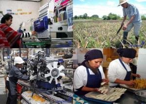 Líderes y dirigentes sindicales participaron en el taller dirigido por el Ministerio de Trabajo para promover el cambio de la matriz productiva