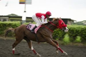 Foto: La Fija