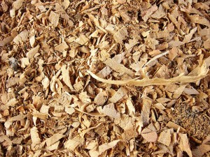 El aserrín desperdiciado se convierte en fuentes energía alternativa.