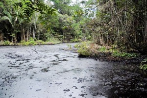 El informe de la contraloría evidencia daños severos en zonas donde la petrolera Chevron operó.