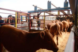 Fuente: El Universo.