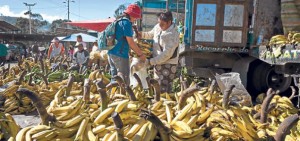 Imagen: El Telégrafo