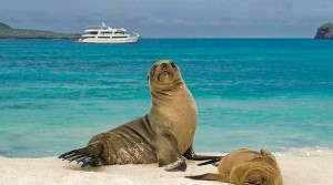 descansando-en-islas-galapagos