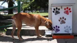 Imagen: El Comercio