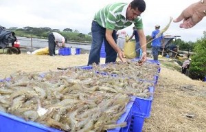 Imagen: El Diario.ec