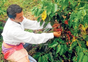 Image: Expreso