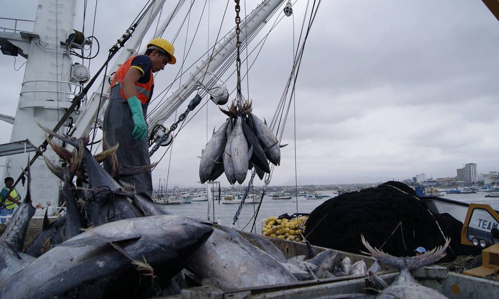 atunecuadortimes-ecuadornews