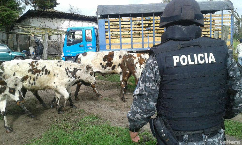 guias-de-movilizacion-de-bovinos-se-legalizan-por-internet-20160523071842-7a1d8a7045cc69ce364de25e887b97e0