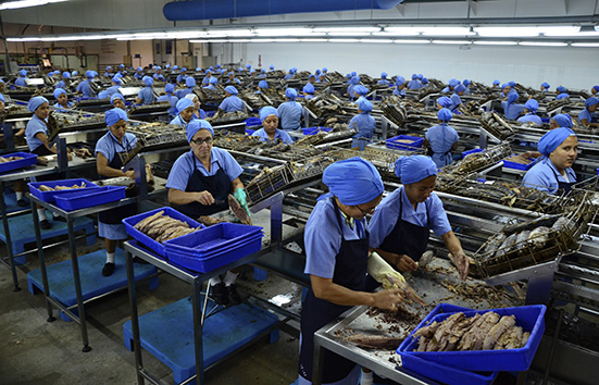 IATUNERA-ECUADORTIMES-ECUADORNEWS