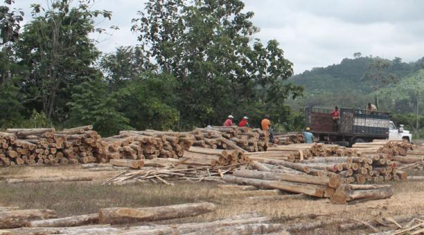 INCENTIVO MEDICO-ECUADORTIMES