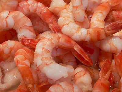 camaron_ecuadortimes