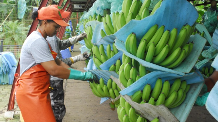 exportaciones-ecuadortimes