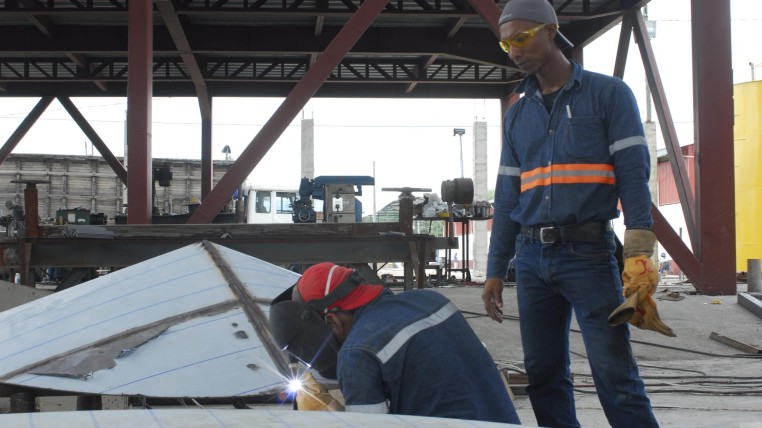 planta de cafe en ecuador-ecuadortimes