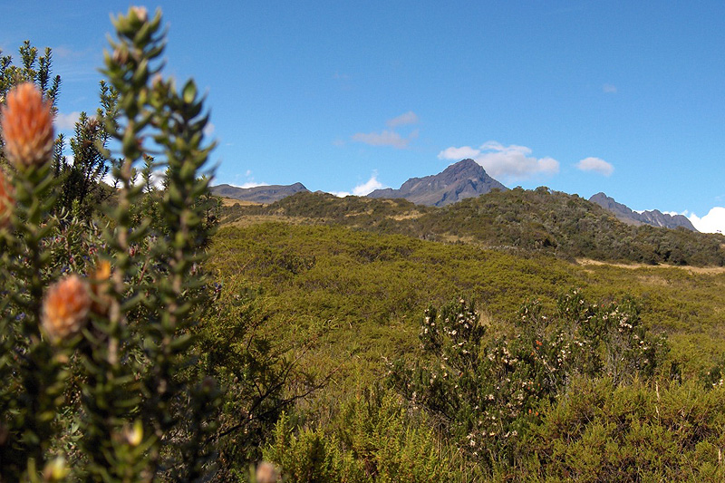 reservaillinizas_ecuadortimes