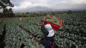 alemania_ecuador_ecuadortimes-net