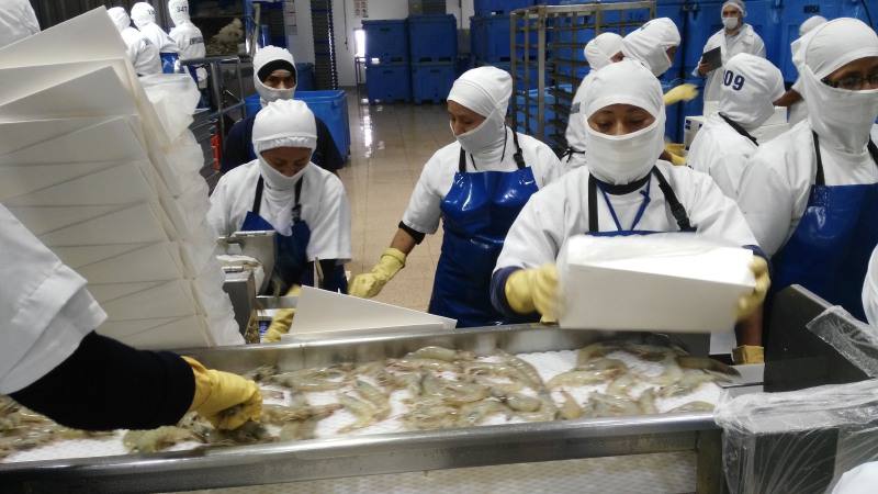 exportadores-ecuadortimes