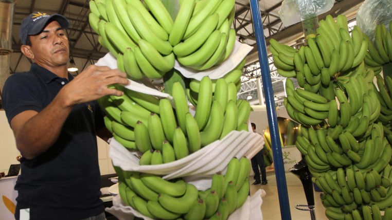 rebajas-precios-ecuadortimes