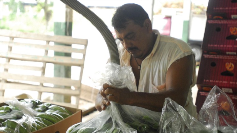 slisnxsd-barreras-sanitarias-ecuadortimes