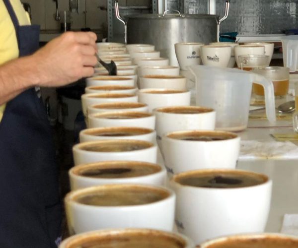 ecuador-times-ecuador-news-where-is-the-best-coffee-in-ecuador-these-are-the-winners-of-the-2023-golden-cup
