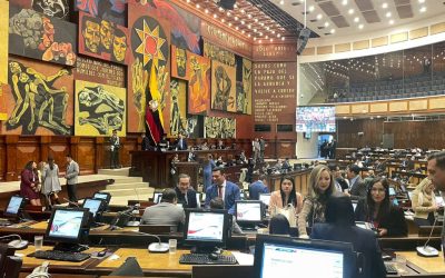 ecuador-times-ecuador-news-court-gives-way-to-change-the-requirements-to-be-an-assembly-member