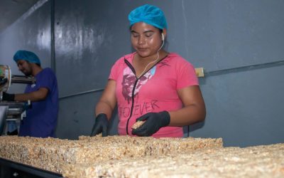 ecuador-times-ecuador-news-minimum-sectoral-wages-rise-2-2-in-the-private-sector