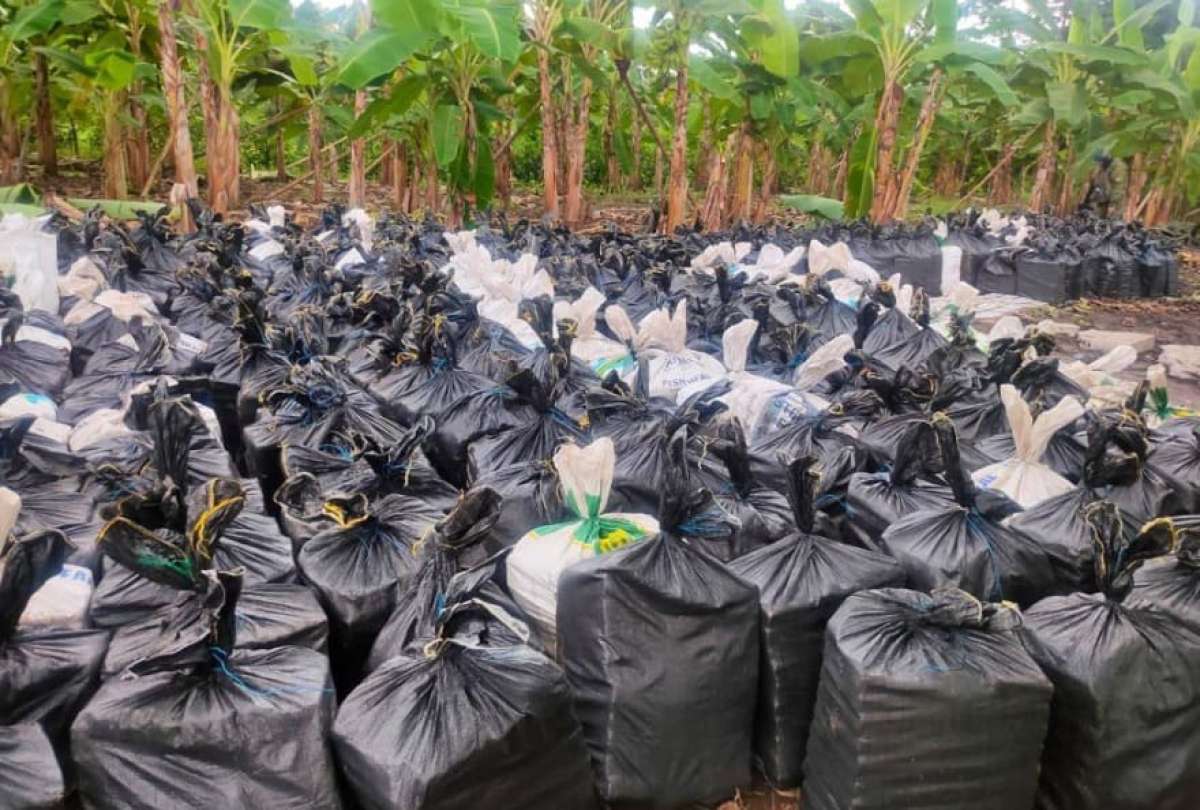ecuador-times-ecuador-news-narcos-used-a-farm-in-vinces-to-hide-weapons-and-about-22-tons-of-drugs