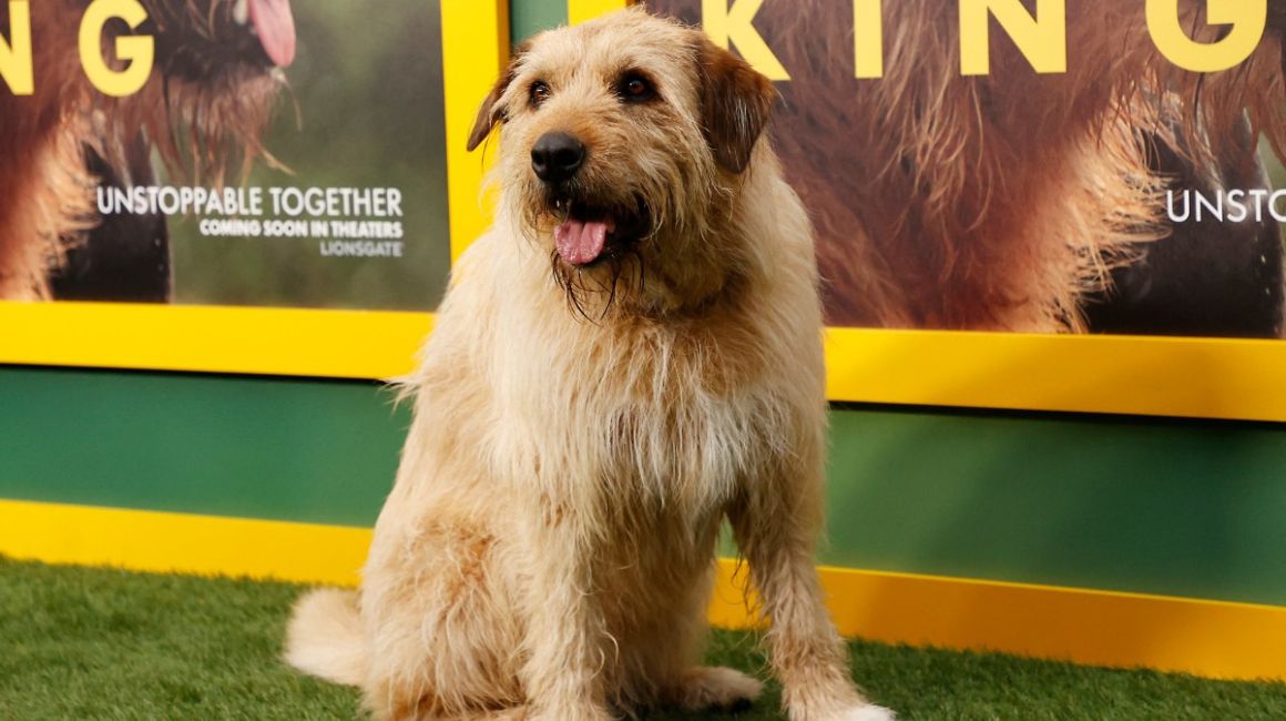 ecuador-times-ecuador-news-why-was-the-movie-arthur-the-king-not-filmed-in-ecuador