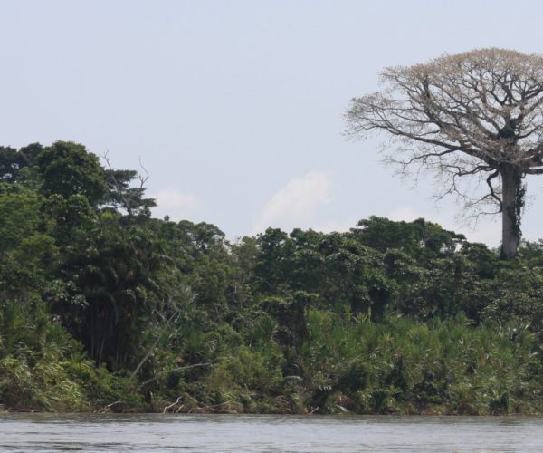ecuador-times-ecuador-news-yasuni-biosphere-reserve-will-receive-one-million-dollars-annually-for-at-least-50-years-after-agreement