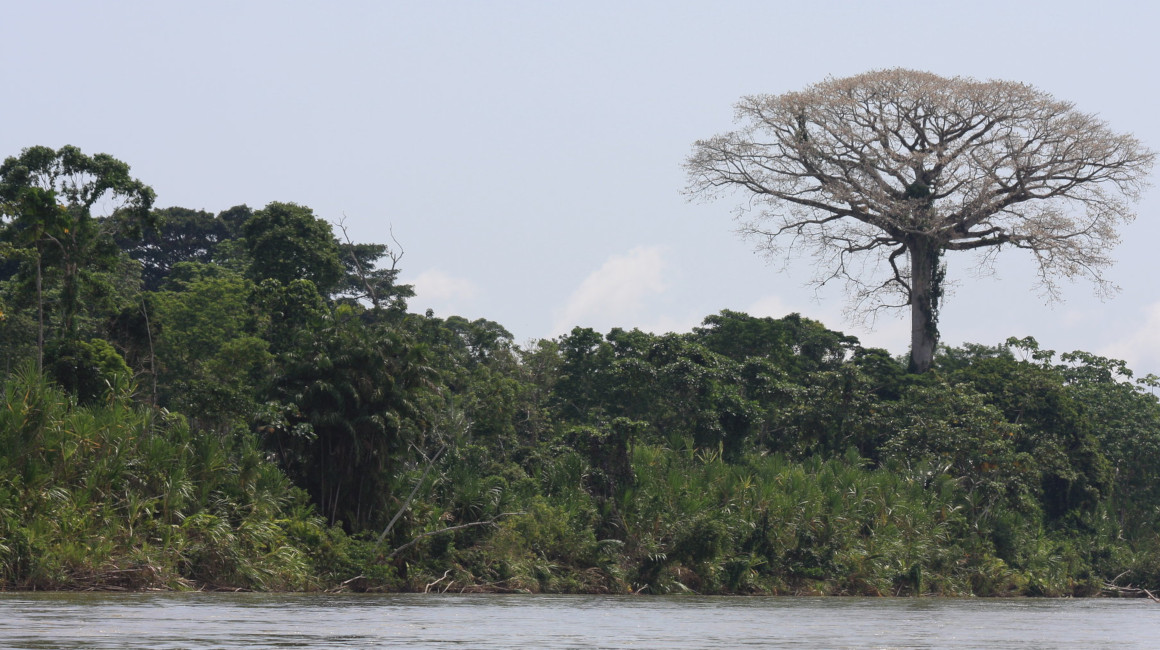 ecuador-times-ecuador-news-yasuni-biosphere-reserve-will-receive-one-million-dollars-annually-for-at-least-50-years-after-agreement