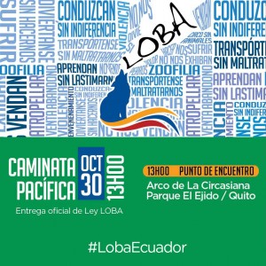 loba