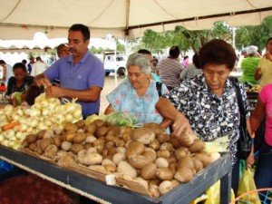 (source: saladeinfo.wordpress.com).