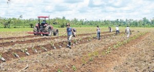 (Source: El Telégrafo)