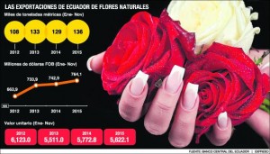 ROSAS_ECUADORTIMES.NET