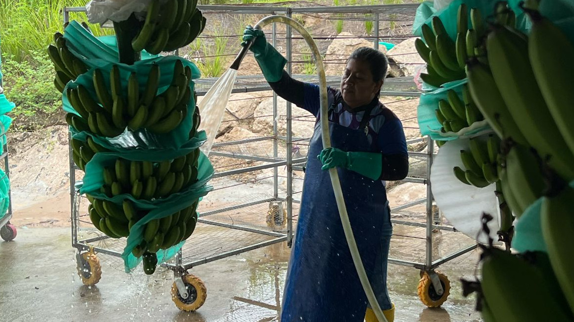 ecuador-times-ecuador-news-health-agencies-from-ecuador-and-russia-will-sign-a-memorandum-of-understanding