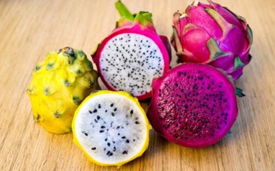 ecuador-times-ecuador-news-pitahaya-a-controversial-fruit-for-the-environment-breaks-export-records-in-ecuador