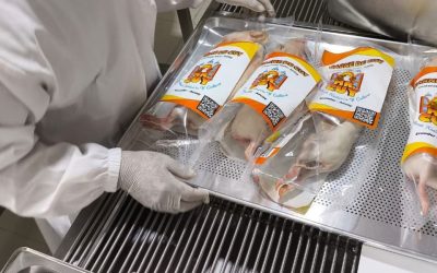 ecuador-times-ecuador-news-the-taste-of-guinea-pig-azuayo-reaches-the-united-states-migrant-company-exports-its-first-batch