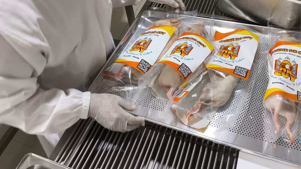 ecuador-times-ecuador-news-the-taste-of-guinea-pig-azuayo-reaches-the-united-states-migrant-company-exports-its-first-batch